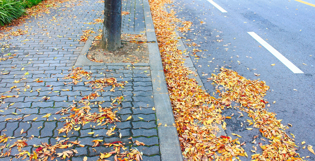 Route encombré par les feuilles à l'automne